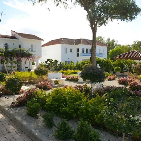 Meneou By The Sea Larnaca